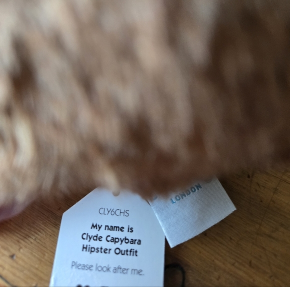 Jellycat Clyde Capybara Hipster 8x9" Soft & Plush BNWT Authentic + Jellycat Bag - Picture 8 of 8